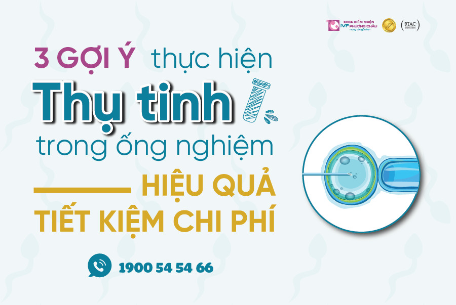 3 GỢI Ý