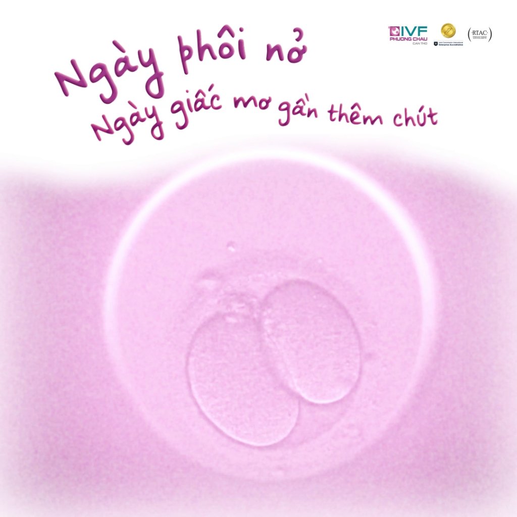 Ngày phôi nở – Ngày giấc mơ gần thêm chút