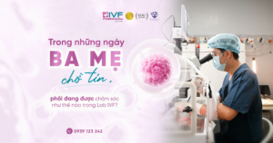 Phôi được chăm sóc như thế nào trong Lab IVF Phương Châu